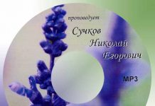Николай Егорович Сучков Сучков Николай Егорович