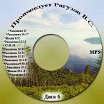 Виктор Семенович Рягузов