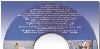 Рассказы о животных – диск 3 Рассказы о животных
