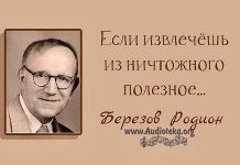 Если извлечёшь из ничтожного полезное – Березов Родион Березов Родион