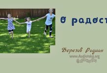 О радости – Родион Березов Березов Родион