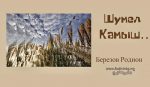 Шумел камыш – Родион Березов Березов Родион
