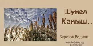 Шумел камыш – Родион Березов Березов Родион