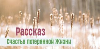 Рассказ – Счастье потерянной жизни Рассказ - Счастье потерянной жизни