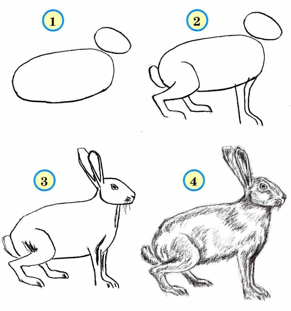 Рисовать учиться рисовать рисунки