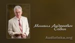 Михаил Савин