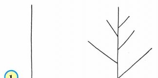 Учимся рисовать ДЕРЕВЬЯ