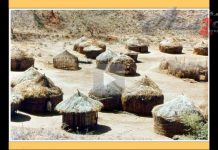 Свидетельство о миссионерской работе в Африке Свидетельство о миссионерской работе в Африке