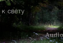 Дорога к свету Христианские рассказы