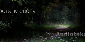 Дорога к свету Христианские рассказы