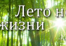 Рассказ “Лето новой жизни” Христианские рассказы