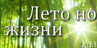 Рассказ “Лето новой жизни” Христианские рассказы