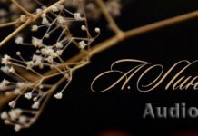 Старая Бриджитта. Последний доллар. Мысли А. Линкольна Христианские рассказы