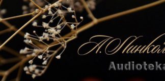 Старая Бриджитта. Последний доллар. Мысли А. Линкольна Христианские рассказы