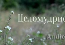 Целомудрие Христианские рассказы