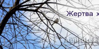 Жертва хвалы. Сокровища мистера Паркера Жертва хвалы