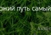 Божий путь самый лучший Божий путь