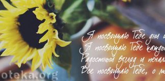 Вестники спасения Вехи на пути