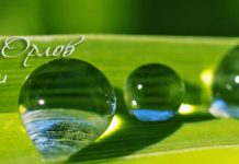 Михаил Орлов – Толкование Откровения – Диск 3 из 3 Audioteka