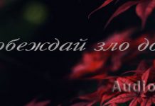 Побеждай зло добром Побеждай зло добром