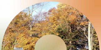 Рассказ “Павел Смолёный” – Декламации Геннадий Сырниченко