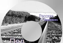 Рассказ “Под стук колёс” – Декламации Геннадий Сырниченко