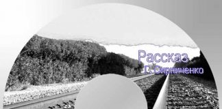 Рассказ “Под стук колёс” – Декламации Геннадий Сырниченко