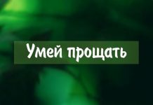 Умей прощать – рассказы Умей прощать