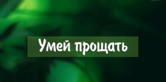 Умей прощать – рассказы Умей прощать