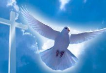 Дух Святой и Крещение – Лепта 3 – Диск 2 Дух Святой и Крещение