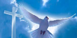 Дух Святой и Крещение – Лепта 3 – Диск 2 Дух Святой и Крещение