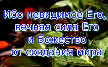 Бог Чудес Бог Чудес