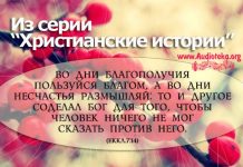 Сборник рассказов – Ищущим спасение Христианские истории