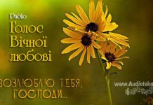 Голос Вічної любові – Старість, Розлучення Голос Вічної любові