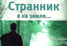 Странник я на земле – Виталий Полозов Странник я на земле - Виталий Полозов