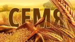 Семя – Виктор Левашов