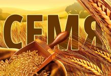 Семя – Виктор Левашов