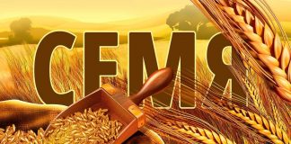 Семя – Виктор Левашов