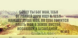 Земные года, предисловие к вечности Земные года, предисловие к вечности