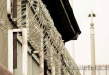 За колючей проволкой За колючей проволкой