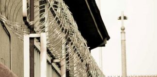 За колючей проволкой За колючей проволкой