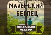 Маленький беглец Галина Гура