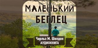 Маленький беглец Галина Гура