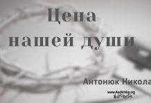 Цена нашей души – Николай Антонюк Николай Антонюк
