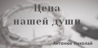 Цена нашей души – Николай Антонюк Николай Антонюк