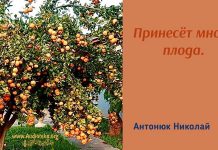 Принесёт много плода – Николай Антонюк Николай Антонюк