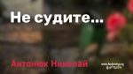 Николай Антонюк