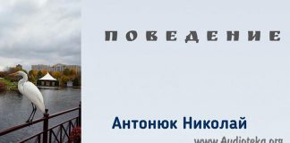 Повреждение – Николай Антонюк Николай Антонюк