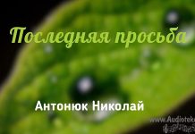 Последняя просьба – Николай Антонюк Последняя просьба - Николай Антонюк