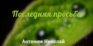 Последняя просьба – Николай Антонюк Последняя просьба - Николай Антонюк